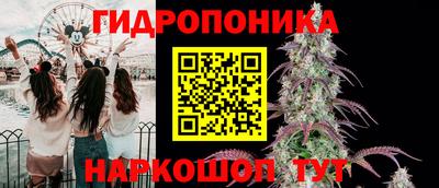 дмт Гай