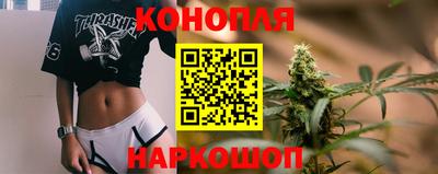 дмт Гай