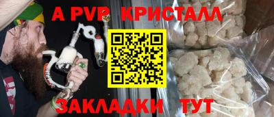 дмт Гай