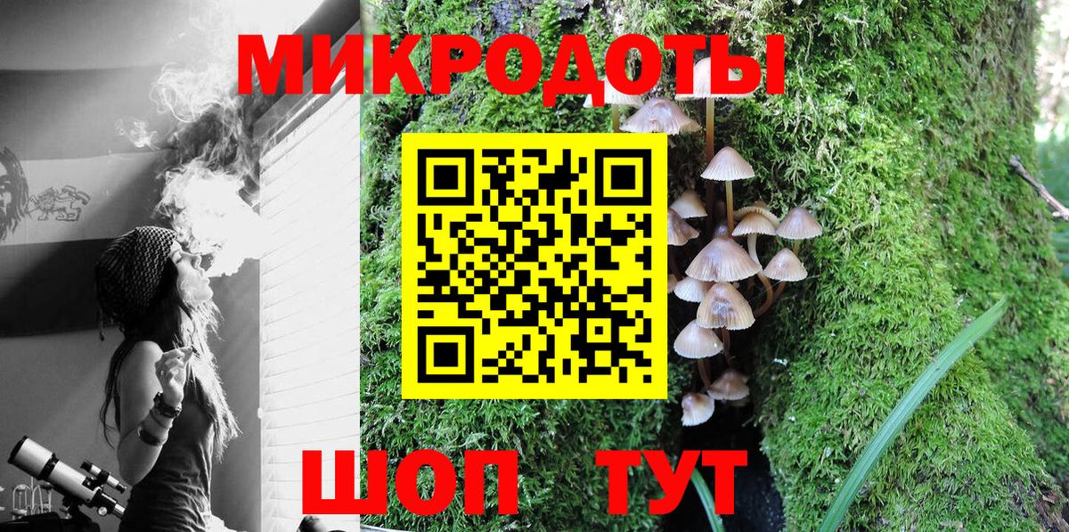 Галлюциногенные грибы Cubensis Губкин