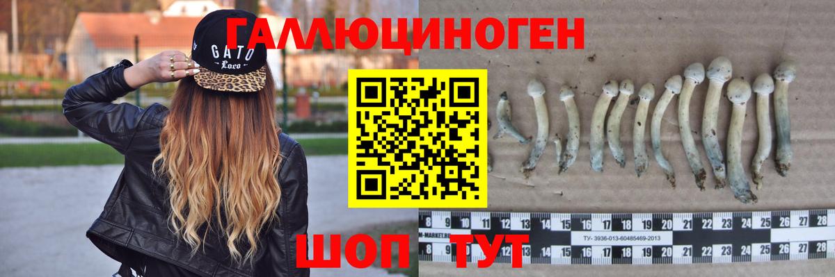 Галлюциногенные грибы мицелий  Вход с VPN  Галлюциногенные грибы GOLDEN TEACHER  Губкин 